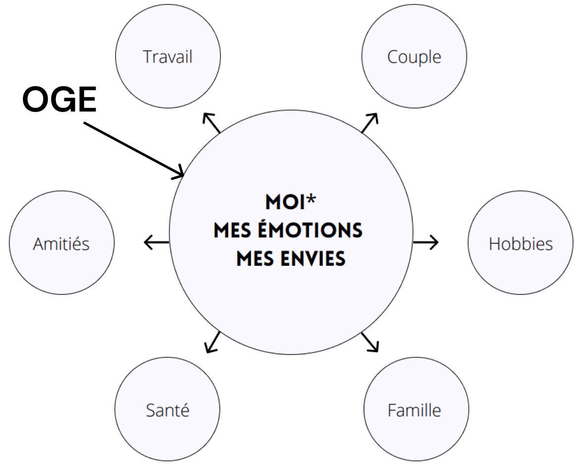 OGE_Schema